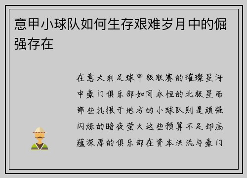 意甲小球队如何生存艰难岁月中的倔强存在
