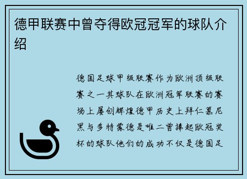 德甲联赛中曾夺得欧冠冠军的球队介绍